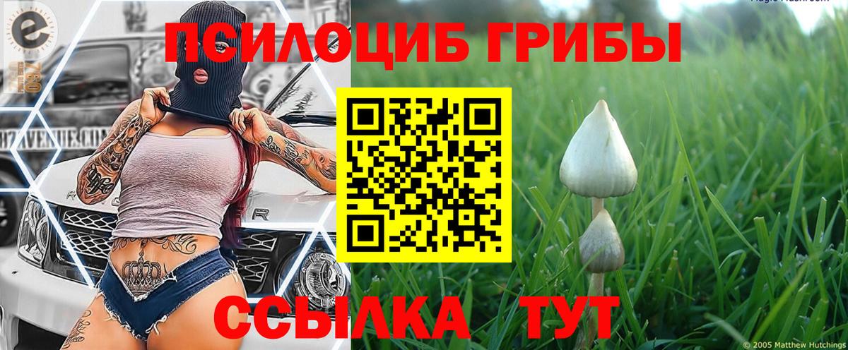 Галлюциногенные грибы Psilocybine cubensis  Галлюциногенные грибы Psilocybine cubensis  наркота  Вход с VPN  Азнакаево 