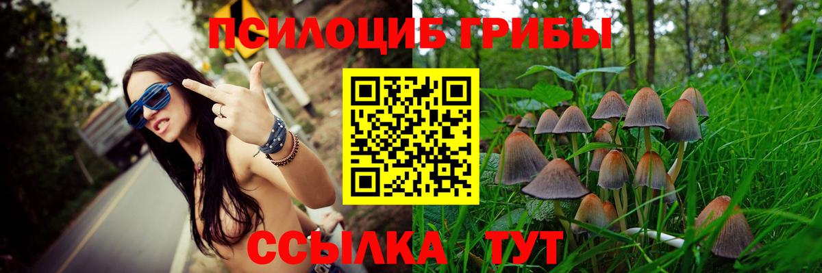 Галлюциногенные грибы Psilocybe Азнакаево